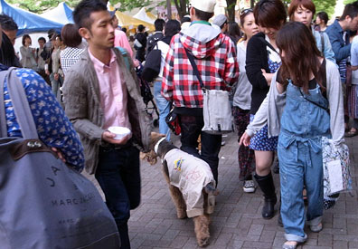 タイフェス